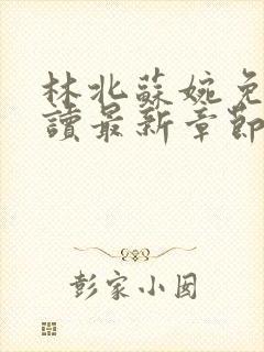 林北苏婉免费阅读最新章节笔趣阁