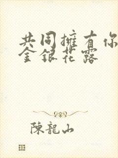 共同拥有你by金银花露封面