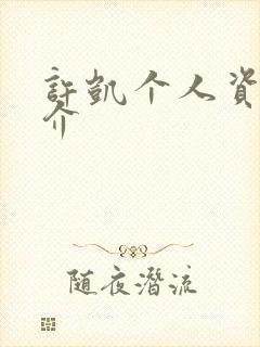 许凯个人资料简介