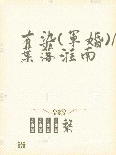 有染(军婚)/叶落淮南封面