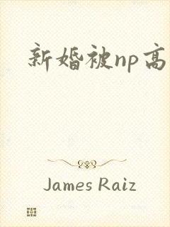 新婚被np高h