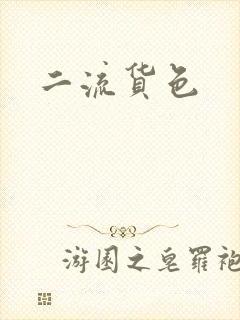 二流货色封面