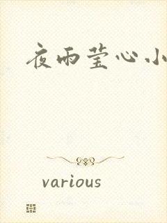 夜雨莹心小说