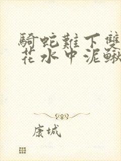 骑蛇难下双金银花水中泥鳅