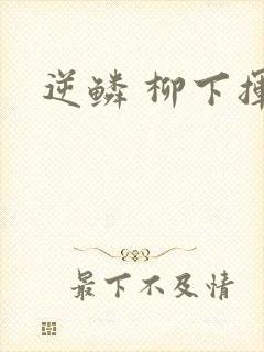 逆鳞 柳下挥