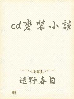 cd变装小说
