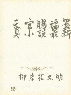 天官赐福墨香铜臭小说最新章节列