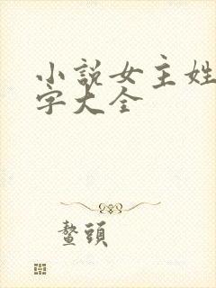 小说女主姓林名字大全封面