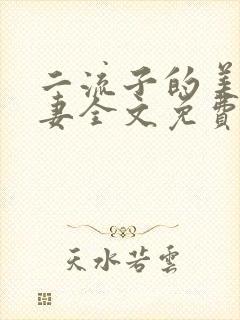 二流子的美貌娇妻全文免费阅读封面