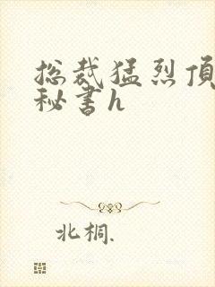 总裁猛烈顶弄h秘书h