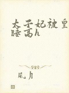 太子妃被皇上强睡高h