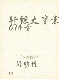 轩辕大宝袁雪妃674章