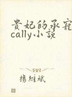 贵妃的承宠日常cally小说