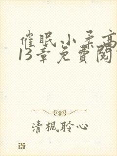 催眠小柔高达第13章免费阅读