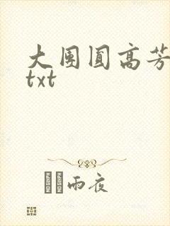大团圆高芳小说txt