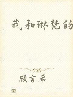 我和琳梵的故事封面