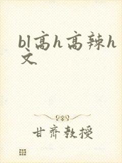 bl高h高辣h文封面