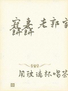 宠妻 老郭家的饼饼封面