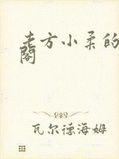 老方小柔的笔趣阁封面