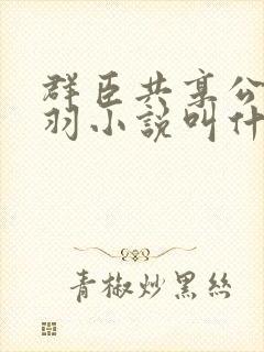 群臣共享公主银羽小说叫什么