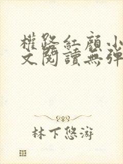 权路红颜小说全文阅读无弹窗