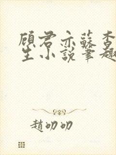 顾君亦苏杳国防生小说笔趣阁封面