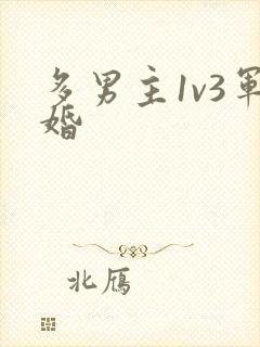 多男主1v3军婚