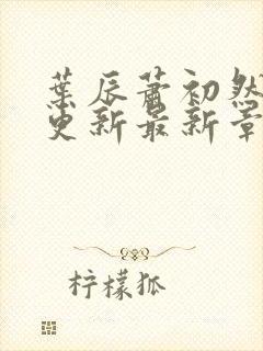 叶辰萧初然刚刚更新最新章节免费