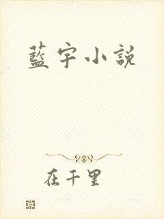 蓝宇小说