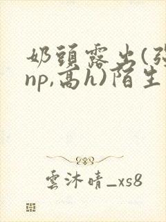 奶头露出(强jnp,高h)陌生人小说