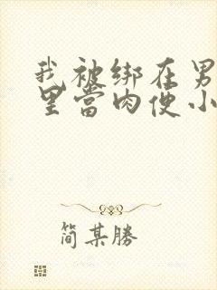 我被绑在男公厕里当肉便小说