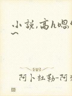 小说,高h嗯啊~
