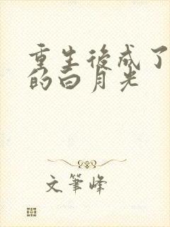 重生后成了皇帝的白月光