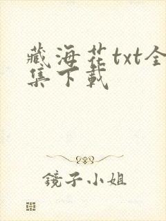 藏海花txt全集下载
