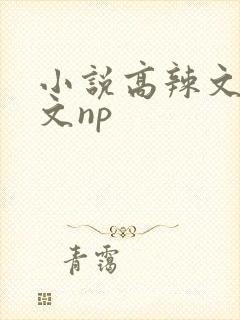 小说高辣文高h文np