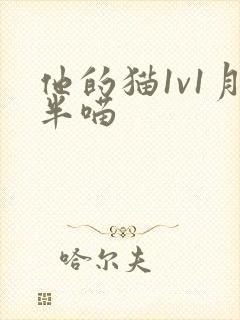 他的猫1v1月半喵