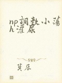 np调教小荡货h灌尿封面