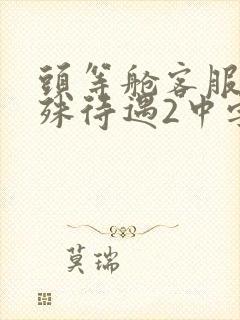 头等舱客服的特殊待遇2中字