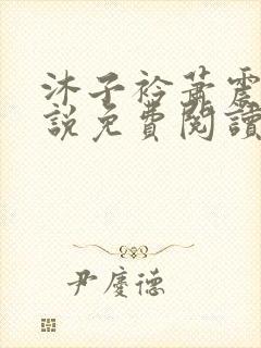 沐子衿萧震烨小说免费阅读全文封面