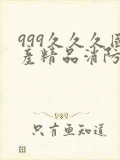 999久久久国产精品消防器材封面