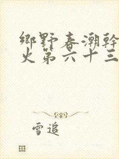 乡野春潮干柴烈火第六十三章