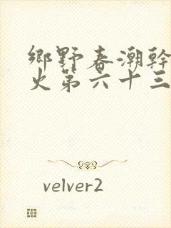 乡野春潮干柴烈火第六十三章