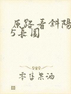 原路看斜阳 45长图封面