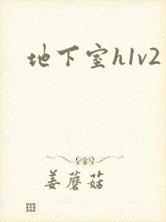 地下室h1v2封面