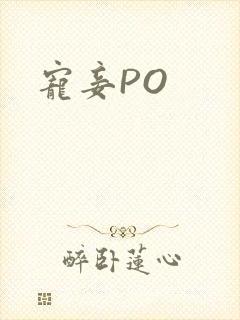 宠妾PO