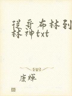 从哥布林到哥布林神txt封面