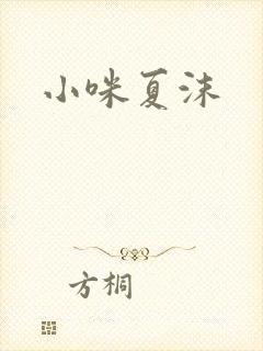 小咪夏沫封面