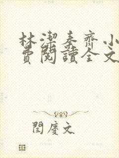 林洁秦齐小说免费阅读全文最新章节