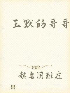 王默的哥哥小说封面