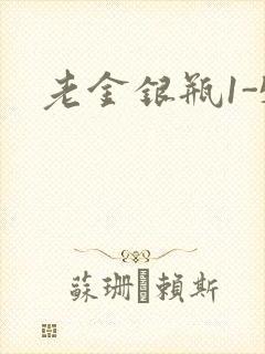 老金银瓶1-5封面